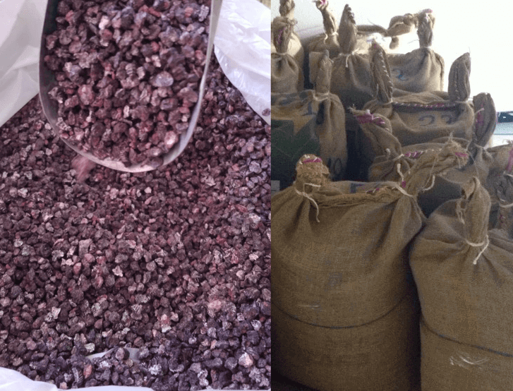 Peru-Colors present Cochineal in Sack